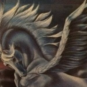 Meet your Posher, Jesse